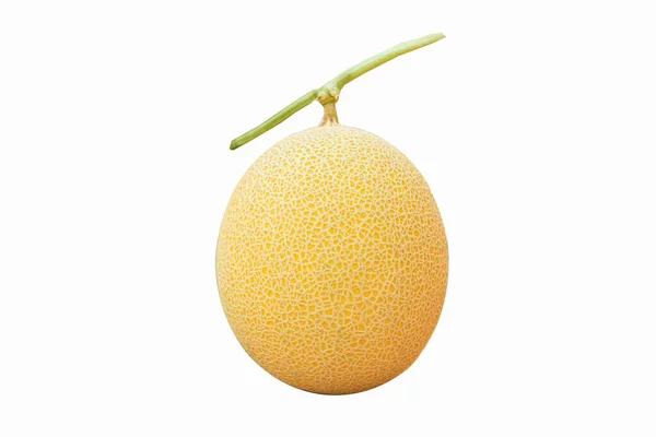 Verse Gele Meloen Witte Achtergrond — Stockfoto