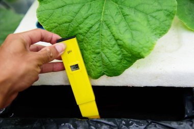 Ph metre kullan Suyun Ph değerini kontrol et