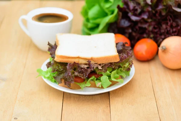 Sandwich Tuna White Dish — Stock Photo, Image