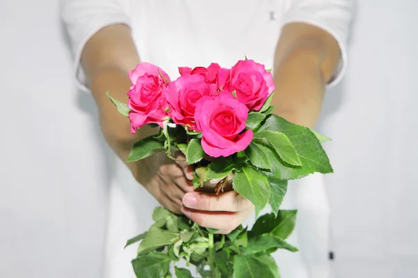 Consign the roses to you. — Stock Photo, Image