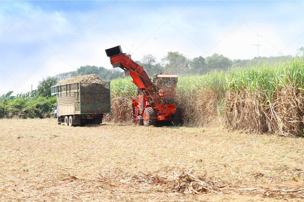 sugarcane harvester, four-wheel tractor