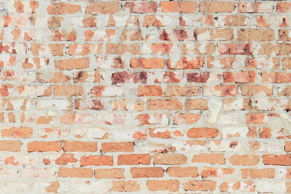 Alte Mauer — Stockfoto