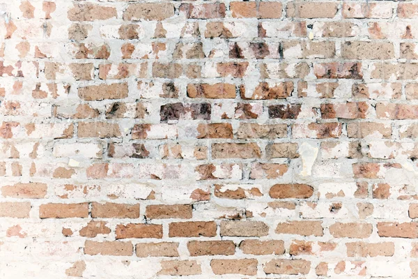 Alte Mauer — Stockfoto