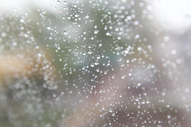 Yağmur yağmaya camına