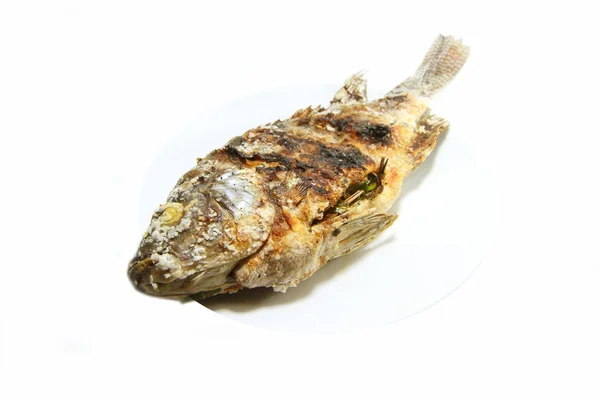 Fisch mit Salz gegrillt — Stockfoto