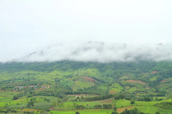 Fog on the mountain — Stock Photo, Image