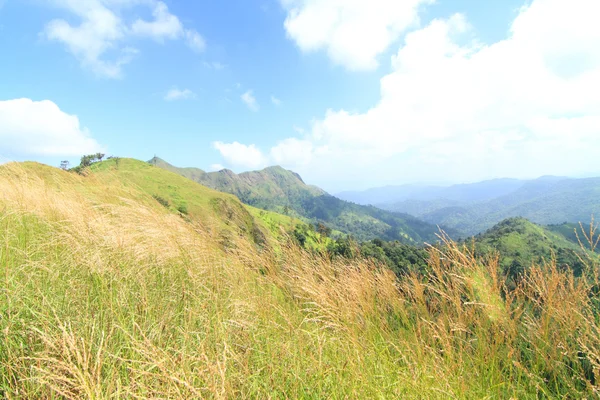 Vista de montanha alta — Fotografia de Stock