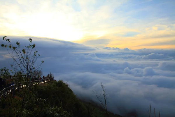 La niebla en la mañana — Foto de Stock