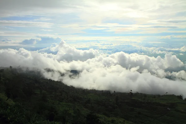 The mist on the mountain — Stock Photo, Image