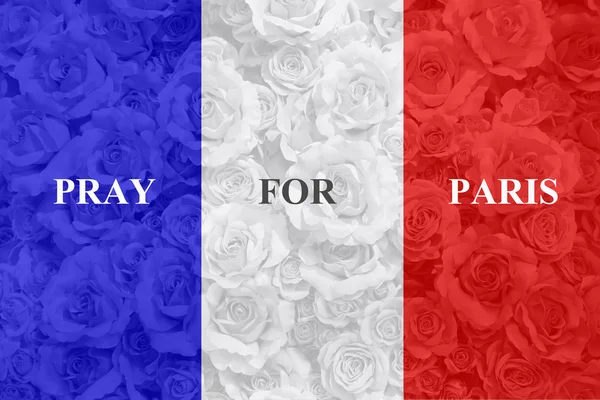 Флаг Франции с розой — стоковое фото