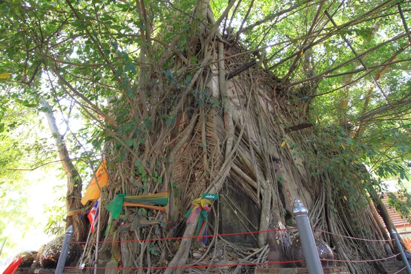 Régi templom, a fa Thai templom — Stock Fotó