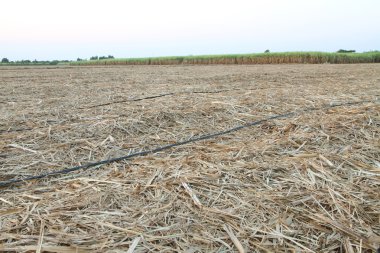 damlatma sulama borusu