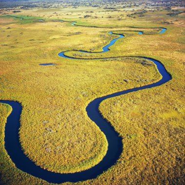 Okavango river, aerial view clipart