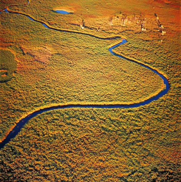 okavango Delta