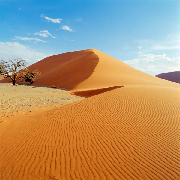 Desierto — Foto de Stock