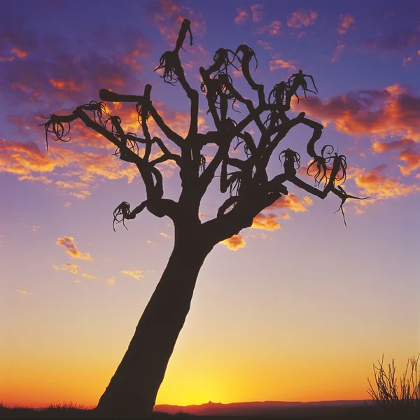 Puesta de sol — Foto de Stock