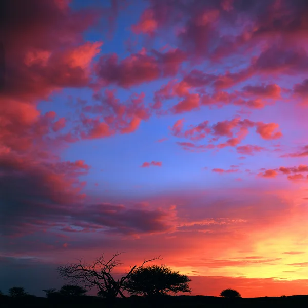 Güzel doğa arkaplanı