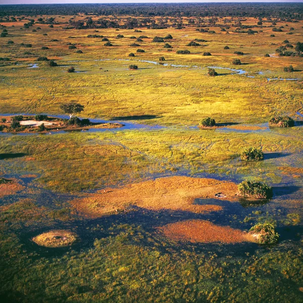 Okavango delta from the air