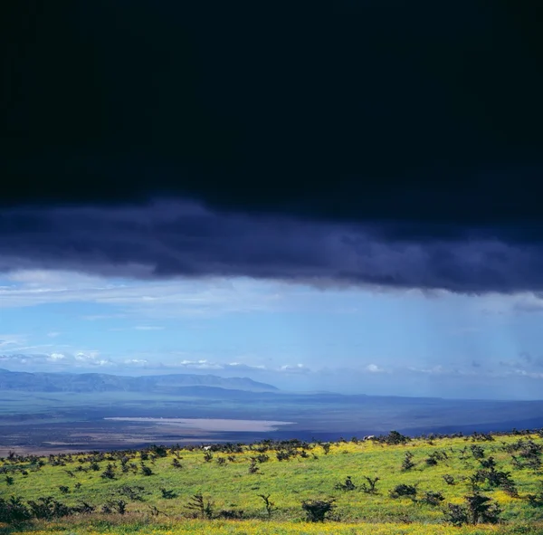 Landschap van Botswana voor storm — Stockfoto