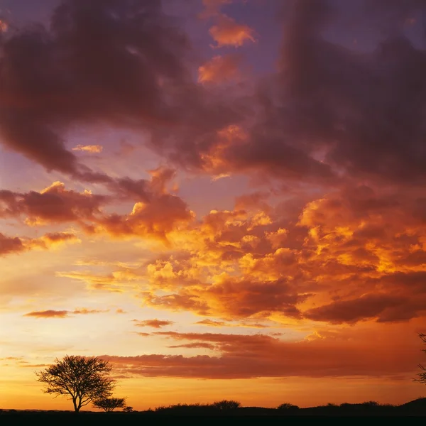 Céu azul ao pôr-do-sol — Fotografia de Stock