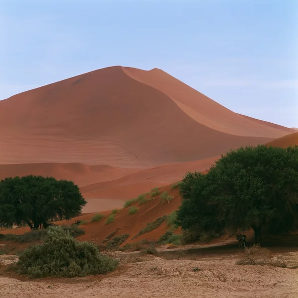 Золота пустеля в блакитному хмарному небі — стокове фото