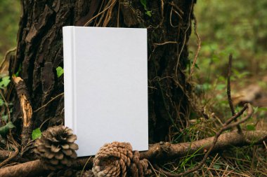 Boş kapaklı ve ormanda tünemiş boş kapaklı bir kitap.