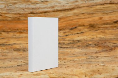 Boş kapaklı ve boş kapaklı bir kitap kumtaşı kayasına tünemiş.