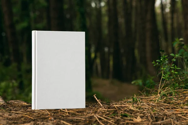Boş Kapaklı Ormanda Tünemiş Boş Kapaklı Bir Kitap — Stok fotoğraf