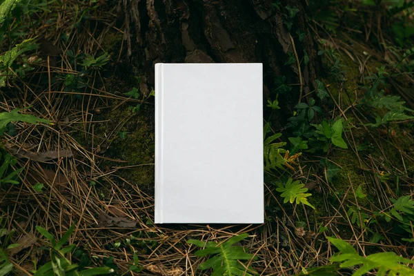 book with blank cover and empty cover perched in a forest