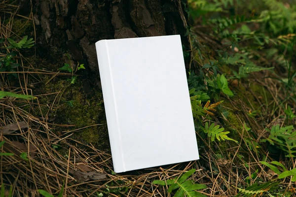 book with blank cover and empty cover perched in a forest