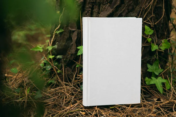 Boş Kapaklı Ormanda Tünemiş Boş Kapaklı Bir Kitap — Stok fotoğraf