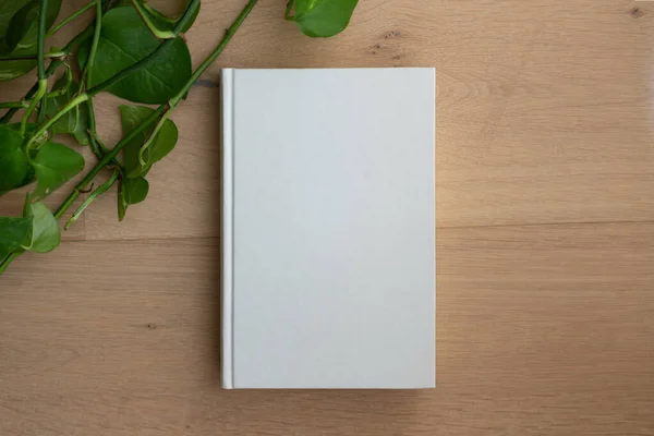 Book with blank cover and empty cover on a wooden floor seen from above