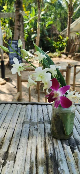 Bir plaj restoranında orkide çiçeği.