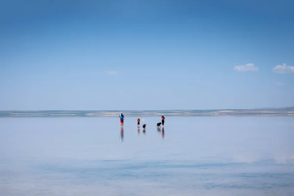 Türkiye 'nin en büyük ikinci gölü olan ünlü Tuz turist tuz gölü boyunca yürüyen insan ve köpeklerin siluetleri.