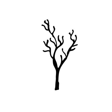  Botanik ve çiçekçilik için izole edilmiş beyaz ve siyah vektör ikonu