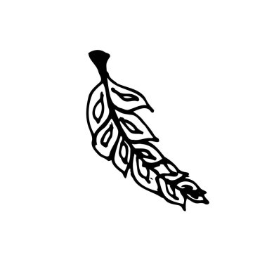  İzole edilmiş beyaz ve siyah vektör çiçek yaprakları botanik, çiçek, beyaz arka planda çizilen eller için.