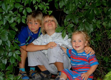 Çocukların portresi erkek kardeşler yazın yeşil yaprakların arasında.