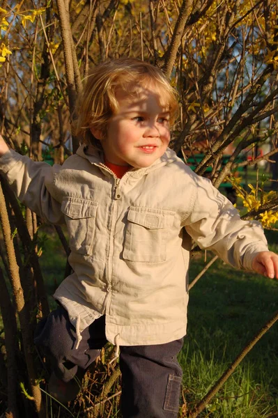 Portret Van Een Jongetje Een Wandeling Het Park Herfst Verlicht — Stockfoto