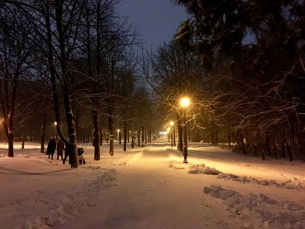 Вечерний Пейзажный Парк Зимой Снегу Освещенном Фонарями — стоковое фото