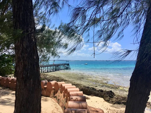 Landscape with ocean and trees on a clear day in Zanzibar