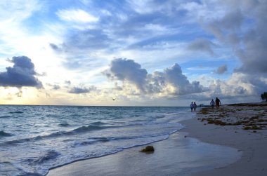 Sabahın köründe Dominik Cumhuriyeti 'nde okyanus ve kumsalın manzarası. 