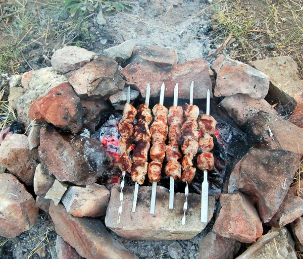 夏に屋外でピクニックで焼かれたバーベキュー肉 — ストック写真