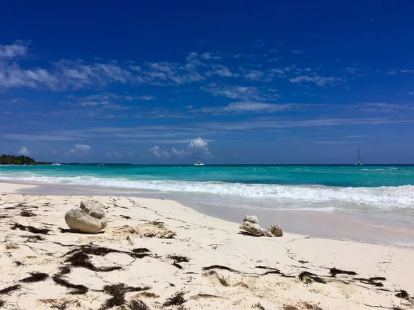 Яскраві Тропічні Краєвиди Пляжем Океаном Сонячний День Домініканській Республіці — стокове фото