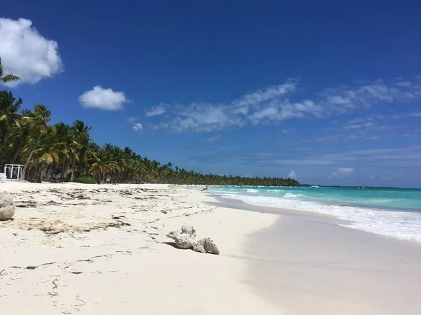 Playa Tropical Con Océano Orilla Arena Palmeras Día Soleado República — Foto de Stock