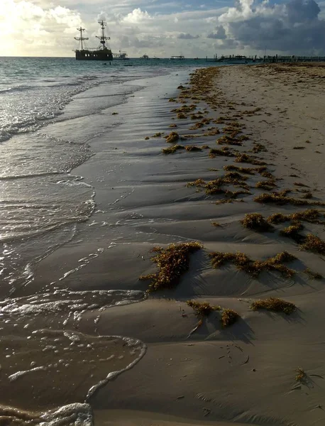 Paisaje Con Una Playa Oceánica Con Algas Arena Barco Distancia — Foto de Stock