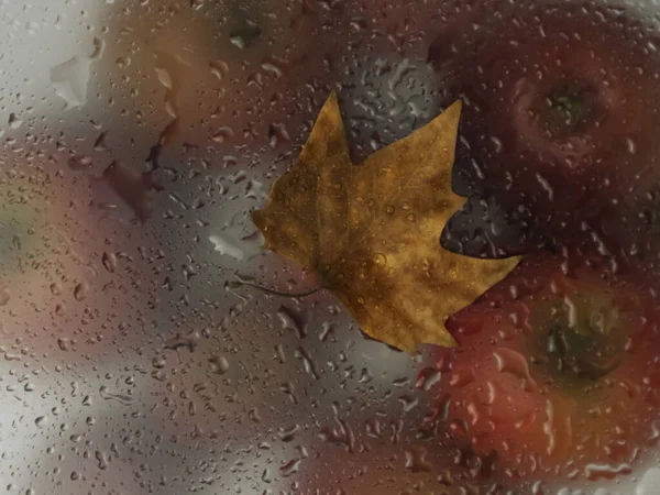 枫叶在玻璃上与雨 苹果背景在雨中的创意 — 图库照片