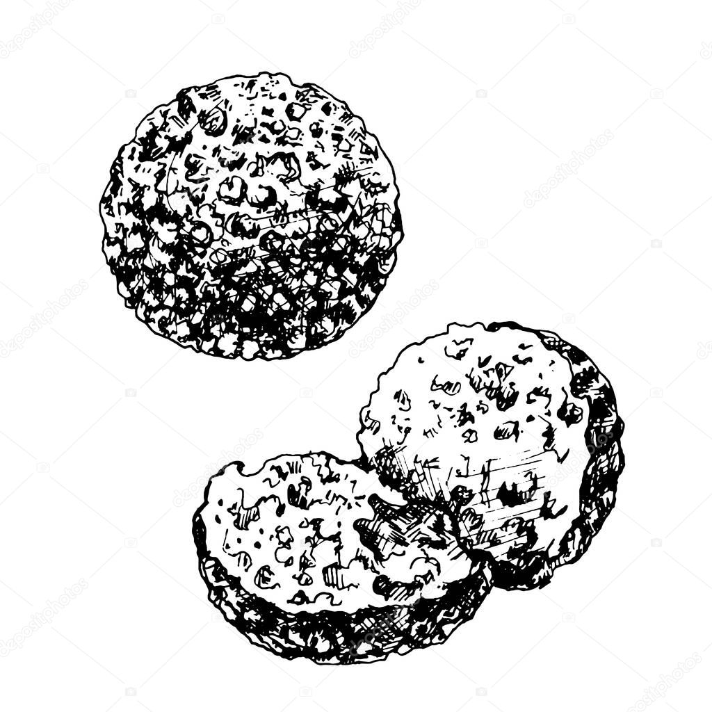 Falafel balls. Dish middle eastern traditional food. Vector black vintage hatching illustration isolated on white