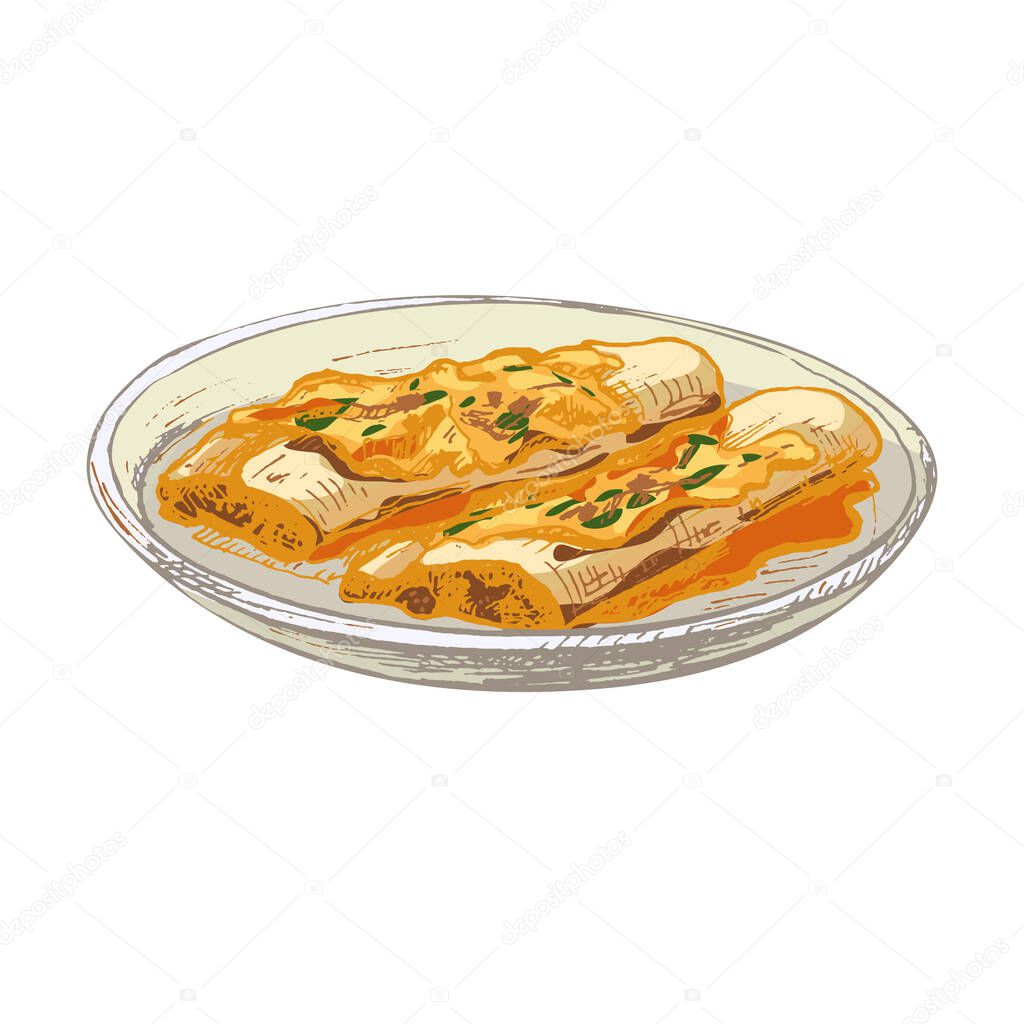 Enchilada in plate - mexican traditional food. Vector vintage hatching