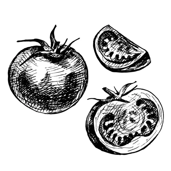 Tomate Entero Mitad Rebanada Vector Vintage Eclosión Ilustración Negro Aislado — Vector de stock