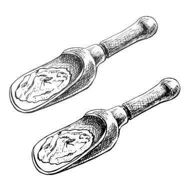 Kırmızı biber. Biberli, yarım ve dilimlenmiş. Vektör vintage kuluçkadan çıkıyor